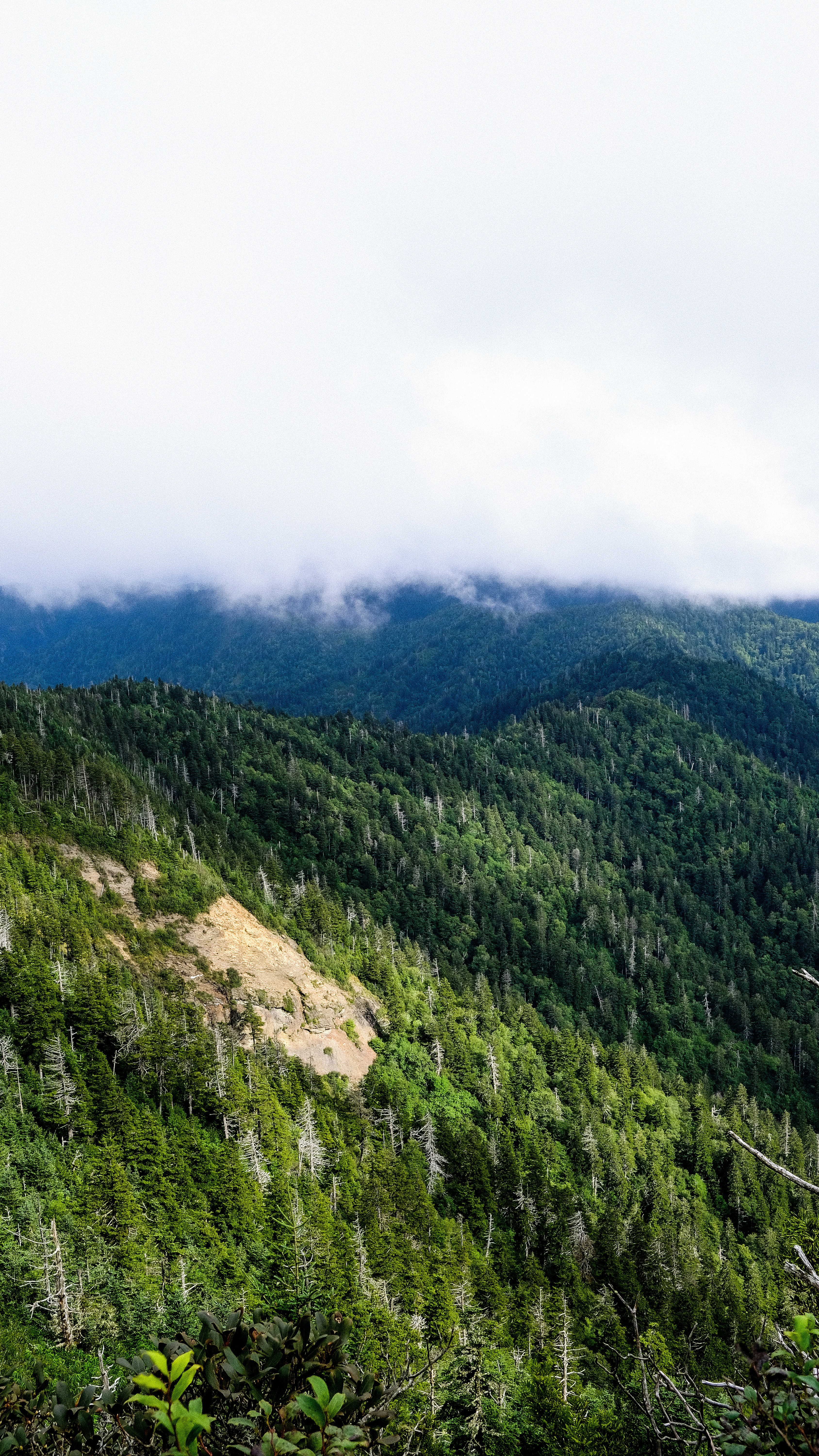 Photo by migueldominguez