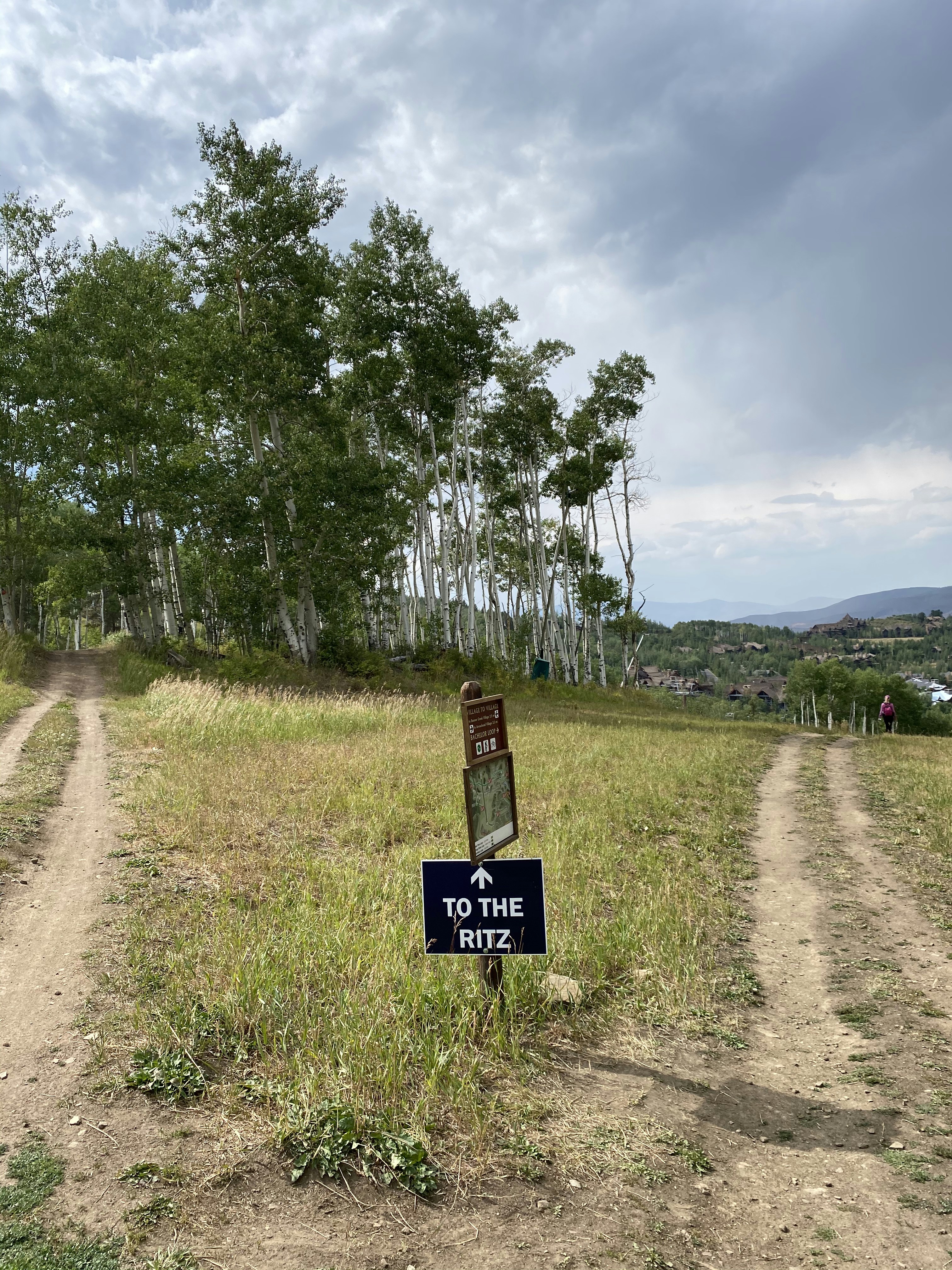 Signalisation en bois brun près des arbres verts pendant la journée