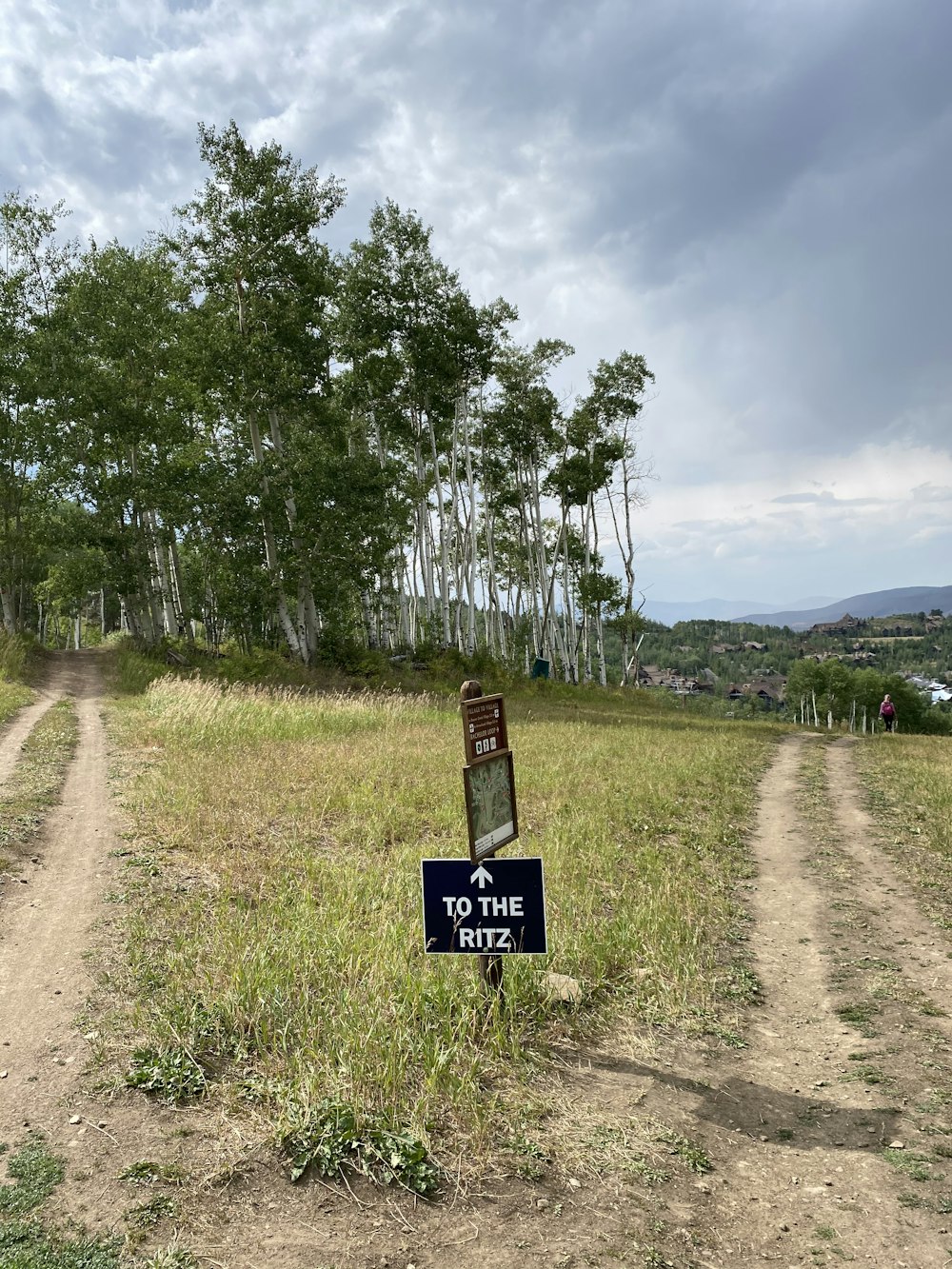 Braune Holzbeschilderung in der Nähe grüner Bäume tagsüber