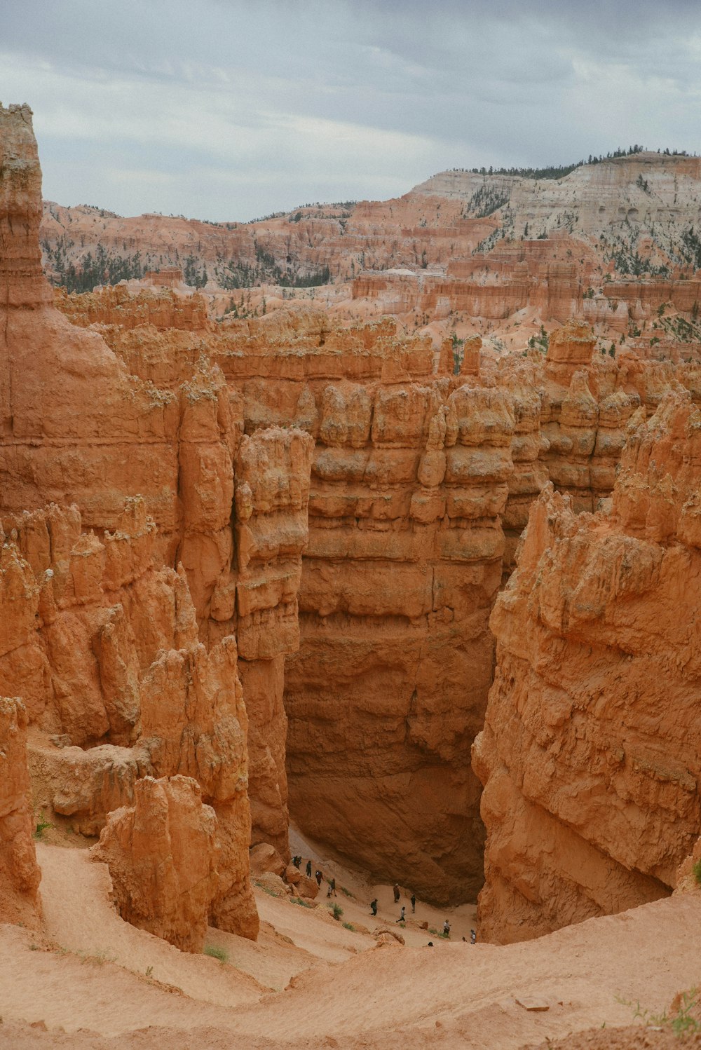 brown rock formation during daytime