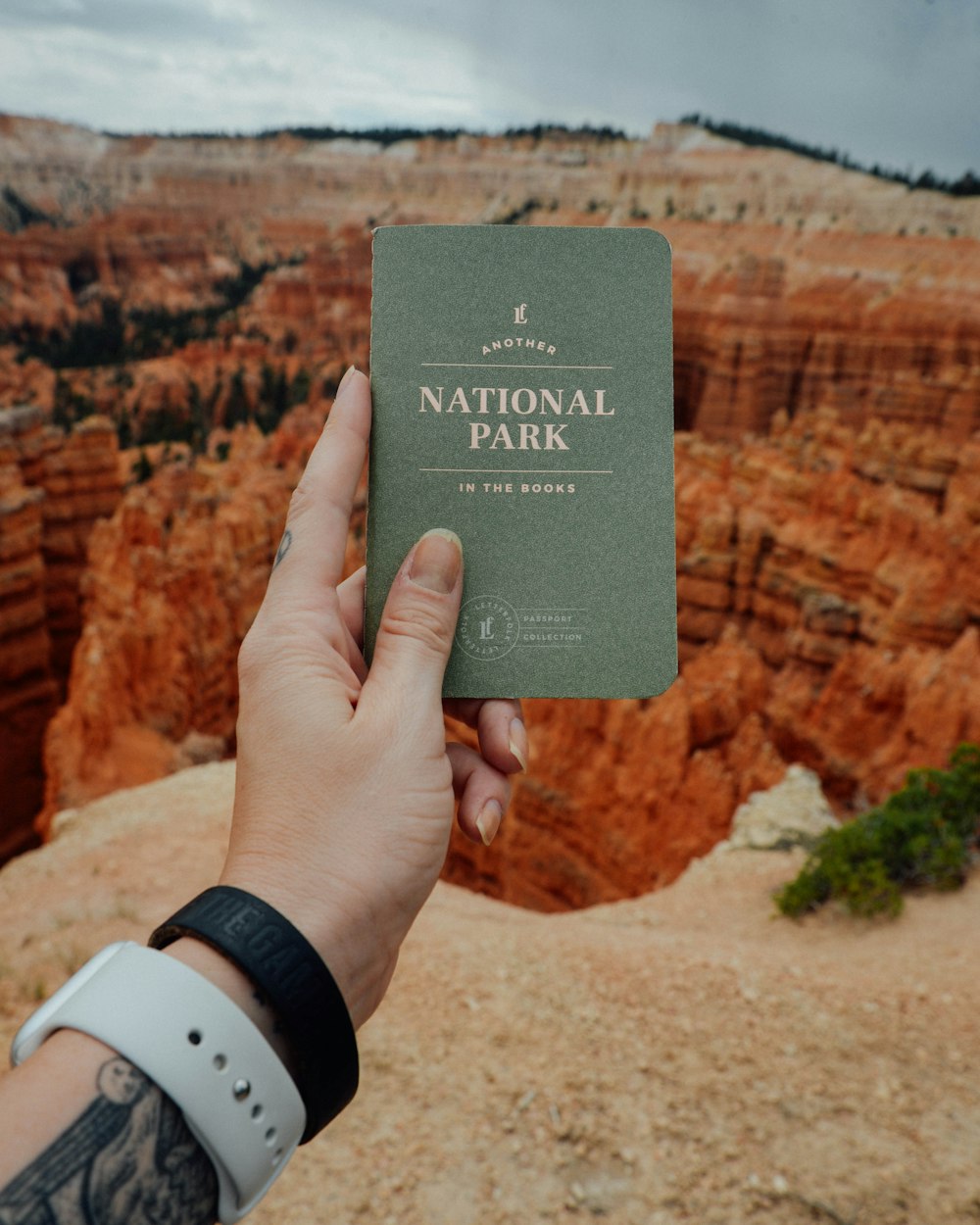 a person holding up a national park book