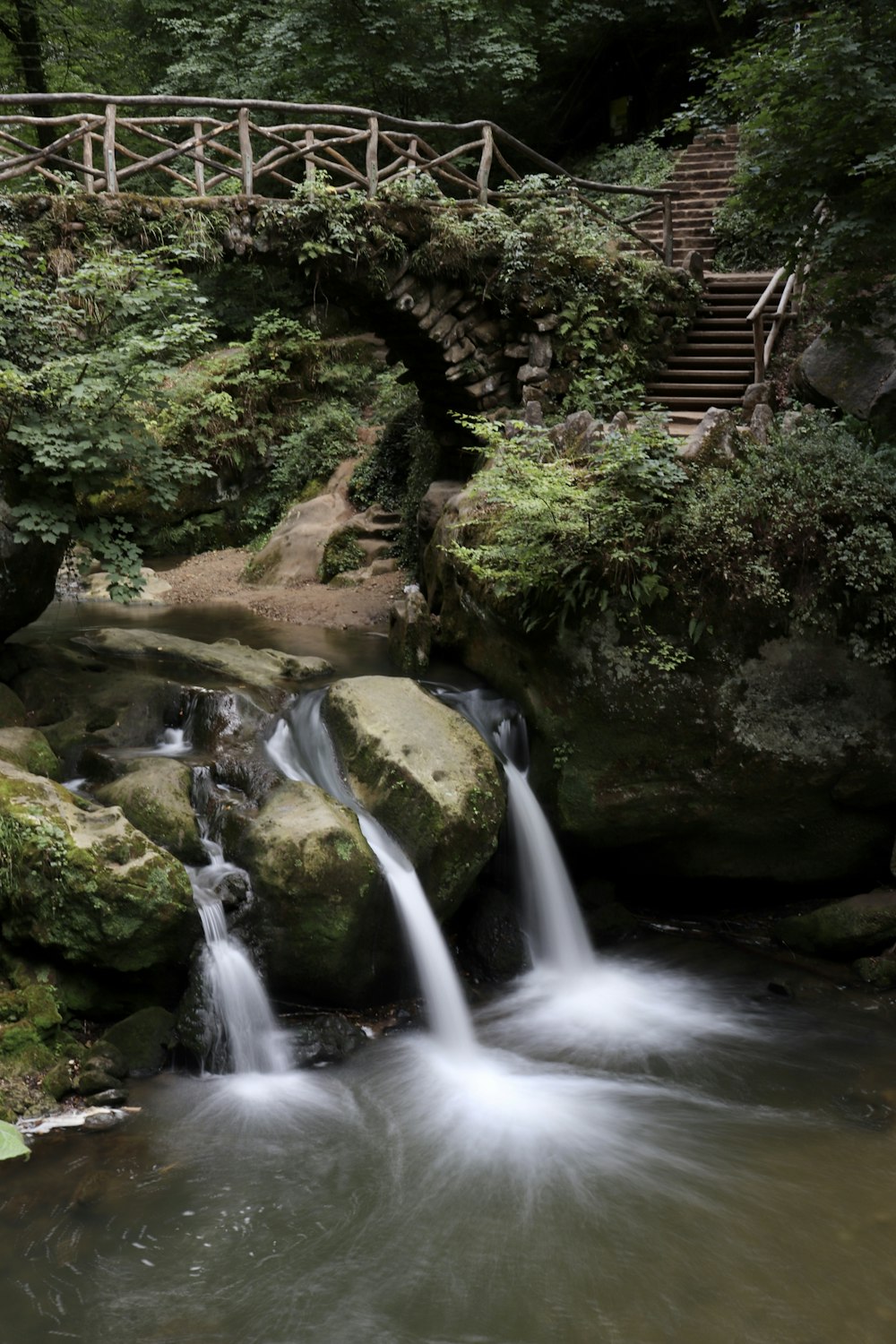 water falls in the middle of the forest