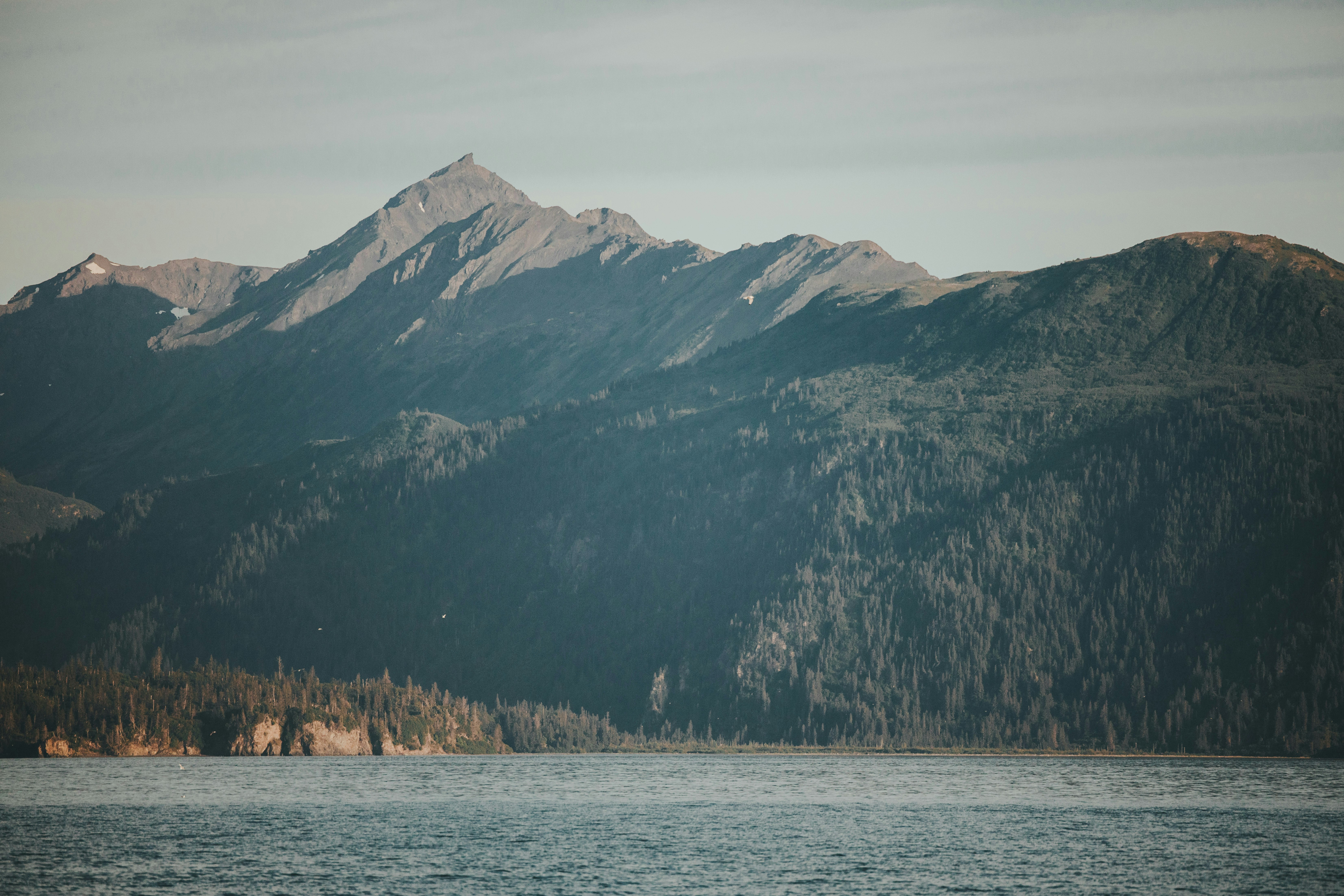 Photo by brendanhollis