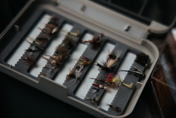 brown and black caterpillar on gray metal tray