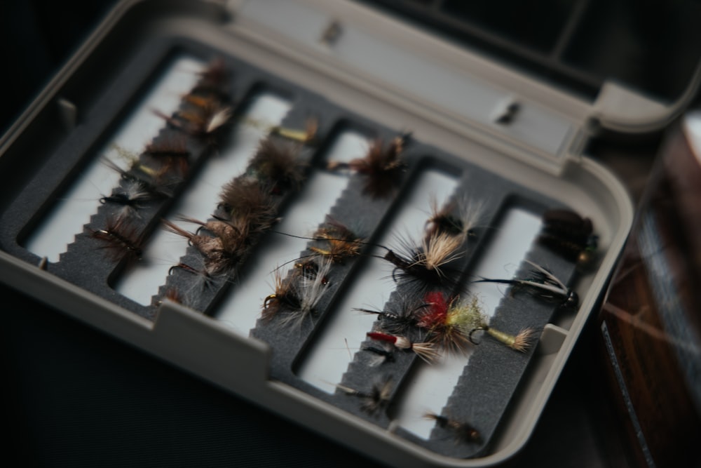 brown and black caterpillar on gray metal tray