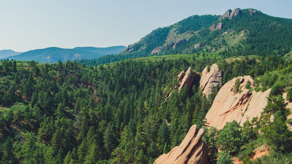 green trees on brown mountain during daytime