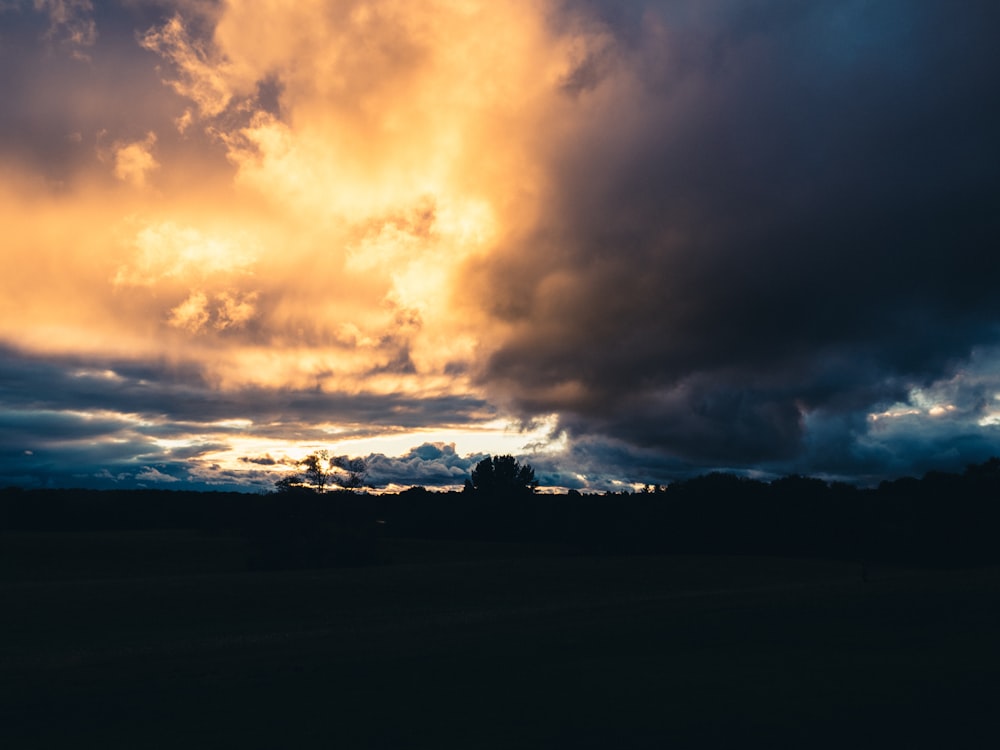 silhouette of trees under cloudy sky during sunset