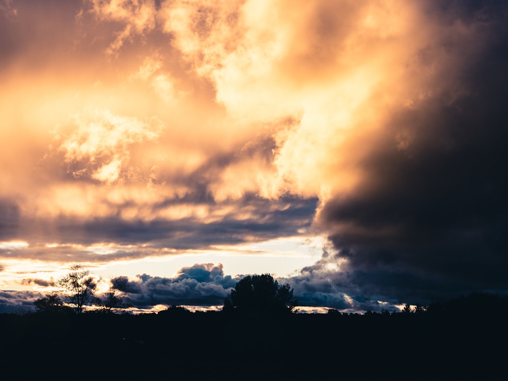 silhouette d’arbres sous un ciel nuageux au coucher du soleil