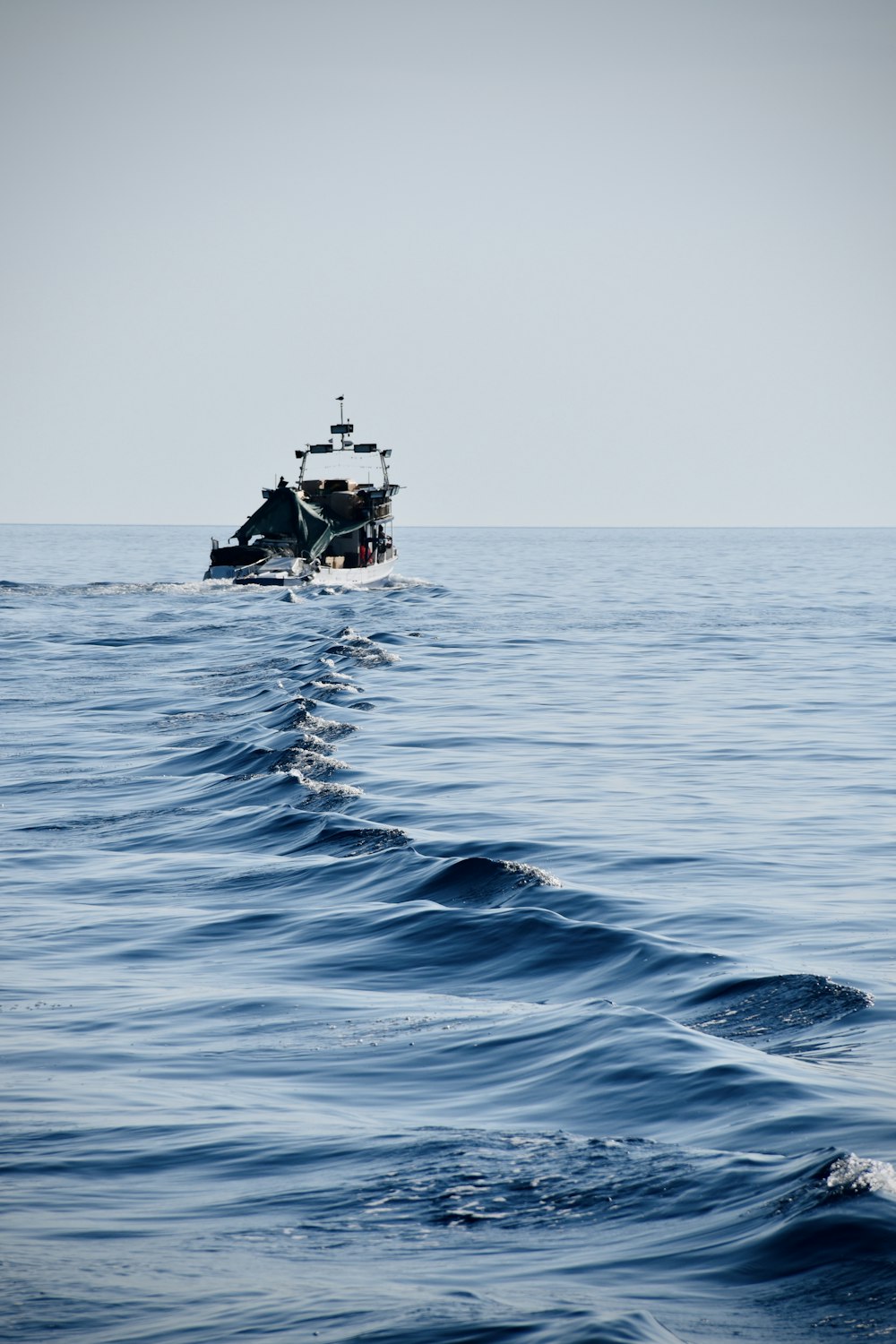 white and black boat on sea during daytime