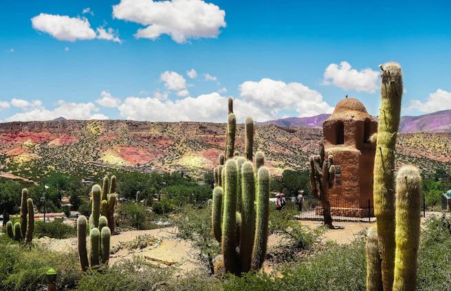 green cactus plants near brown rock formation under blue sky during daytime