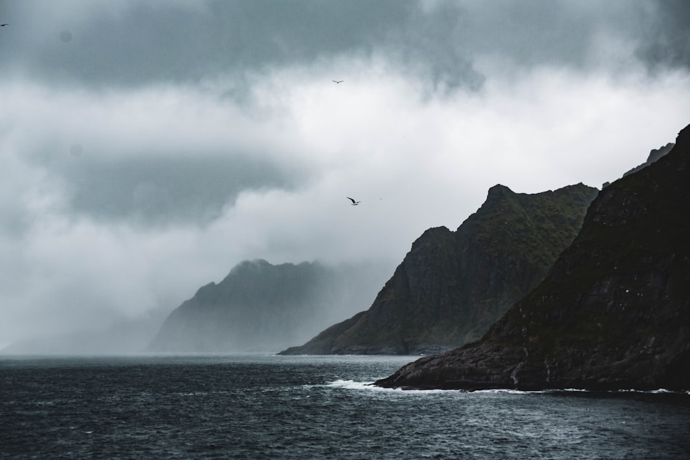 Vögel, die über das Meer in der Nähe von Bergen fliegen