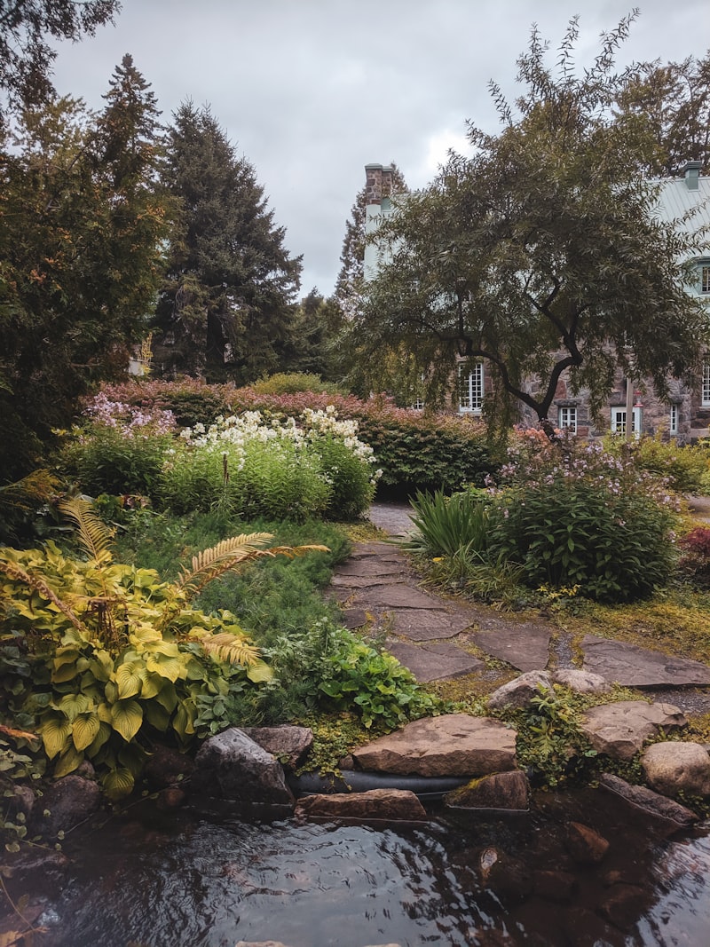 A lush therapeutic garden with raised beds and flowering plants used in horticultural therapy for seniors