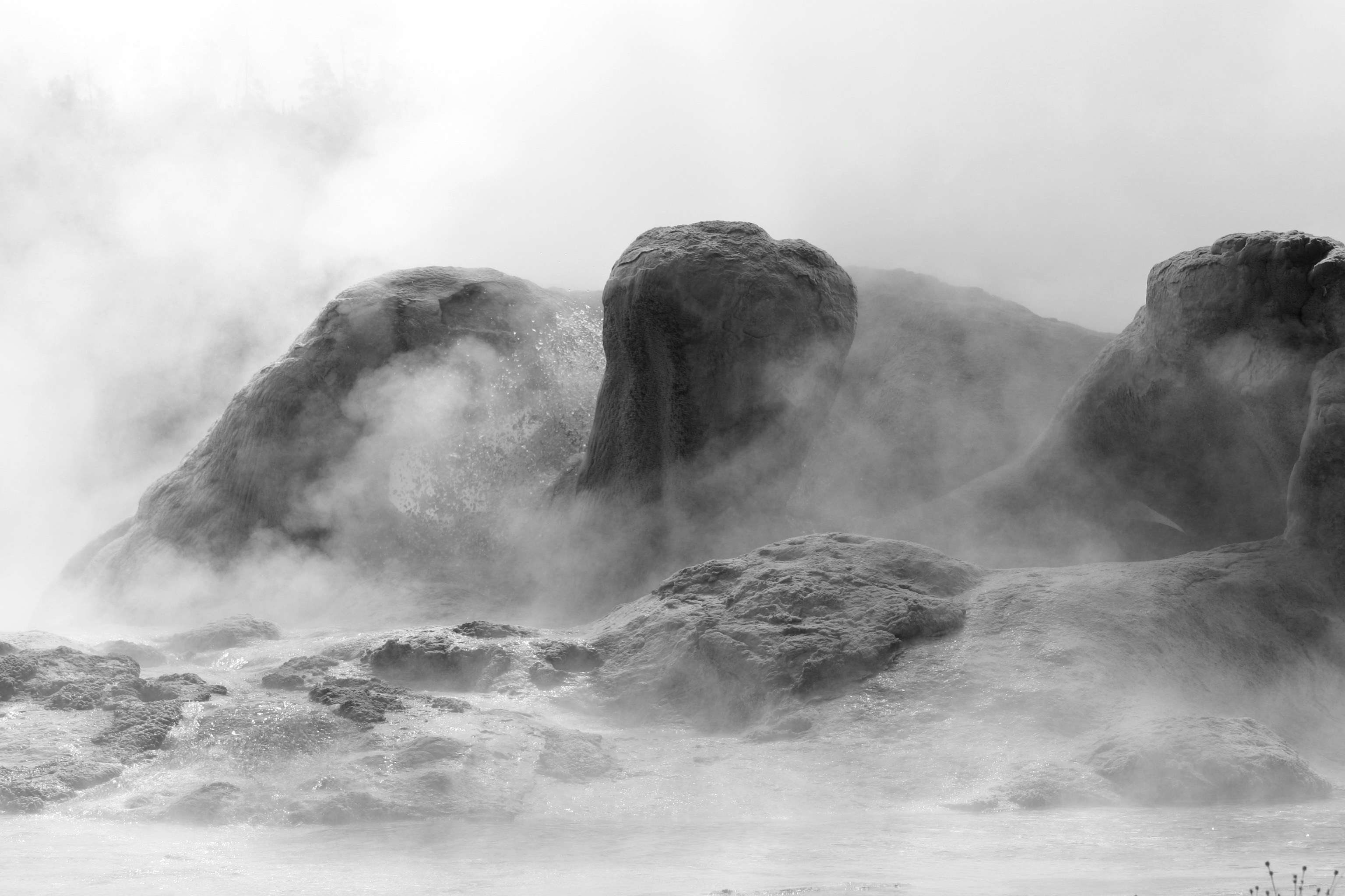 Photo by whileman