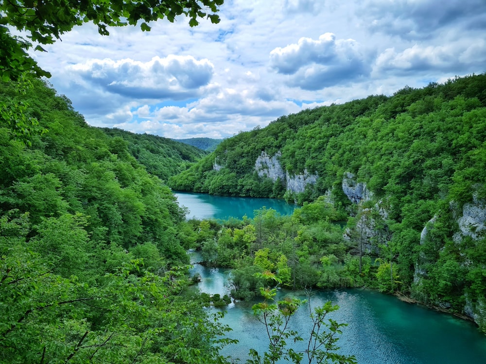 green trees on mountain beside river under white clouds and blue sky during daytime