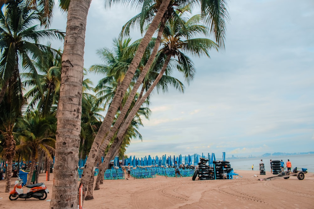 Gente en la playa durante el día