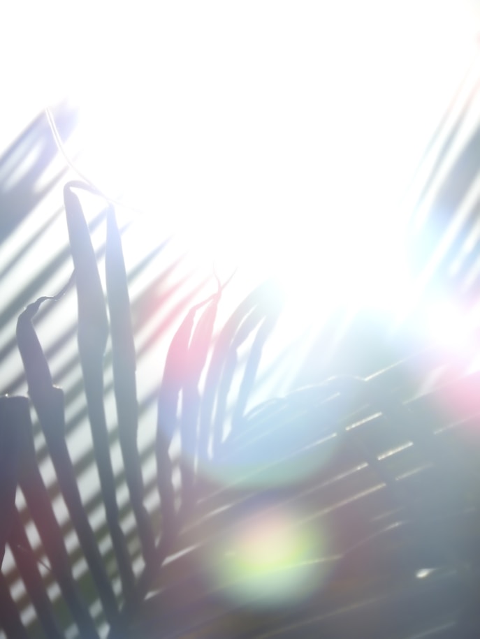 pink and blue light illustration, la apertura del iris iluminado del Corazon humano