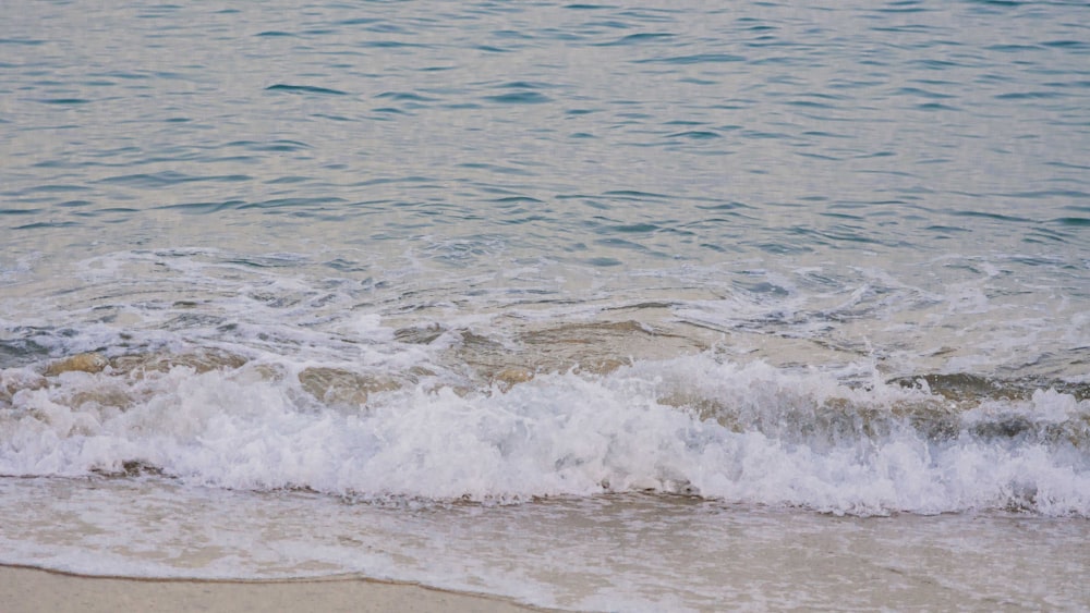 Les vagues de l’océan s’écrasent sur le rivage pendant la journée