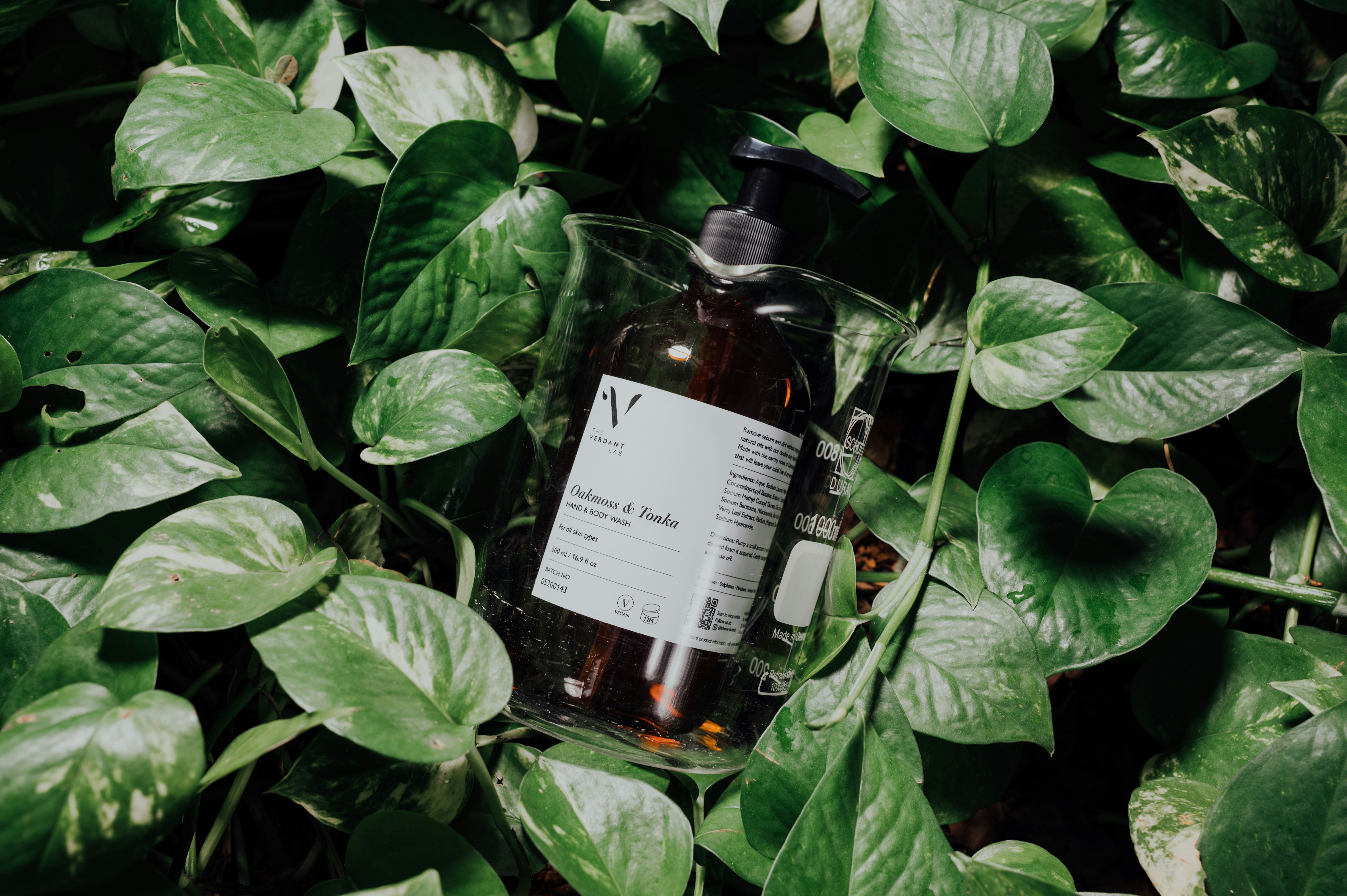 Photo by chuttersnap