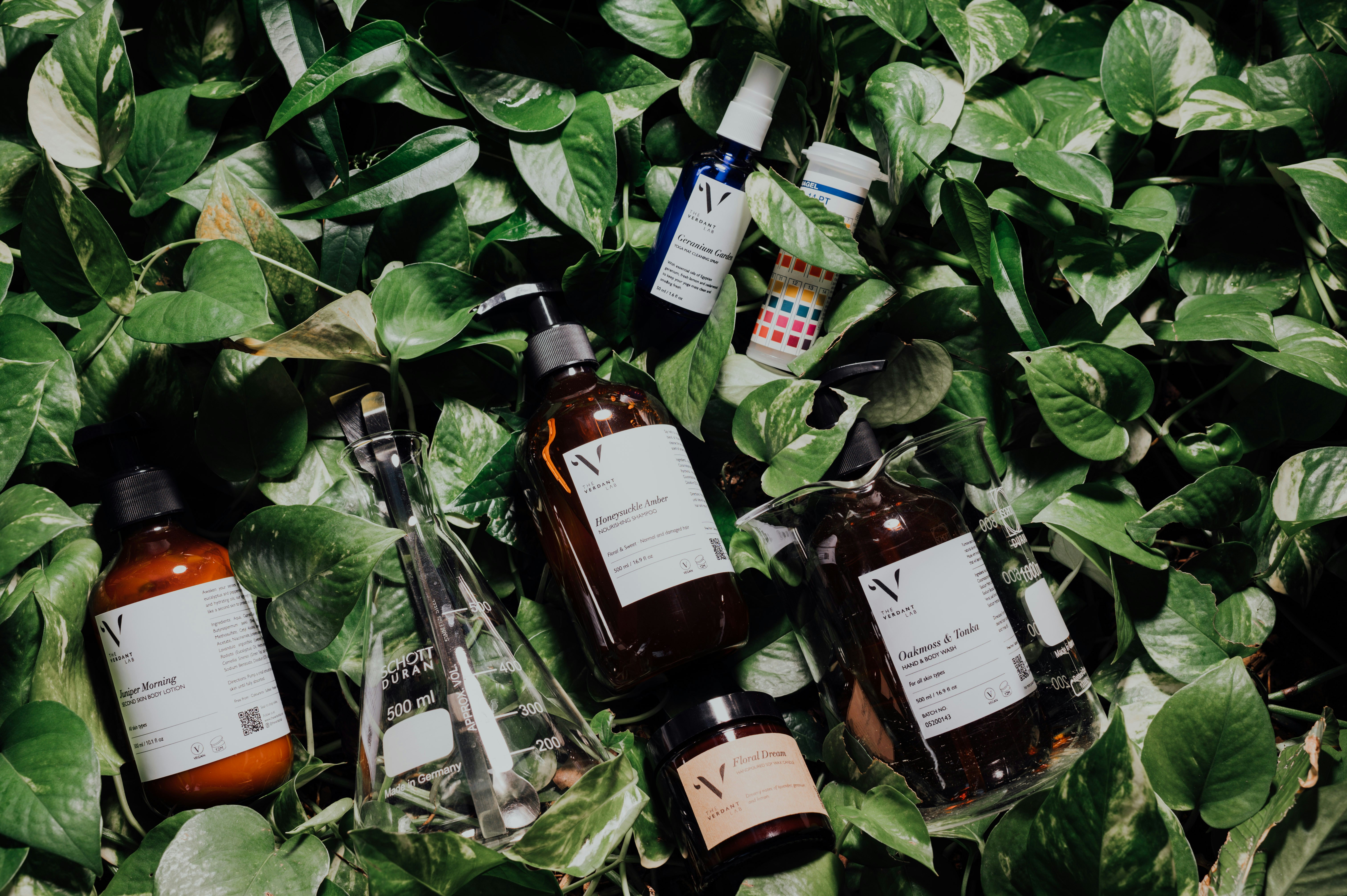 Photo by chuttersnap