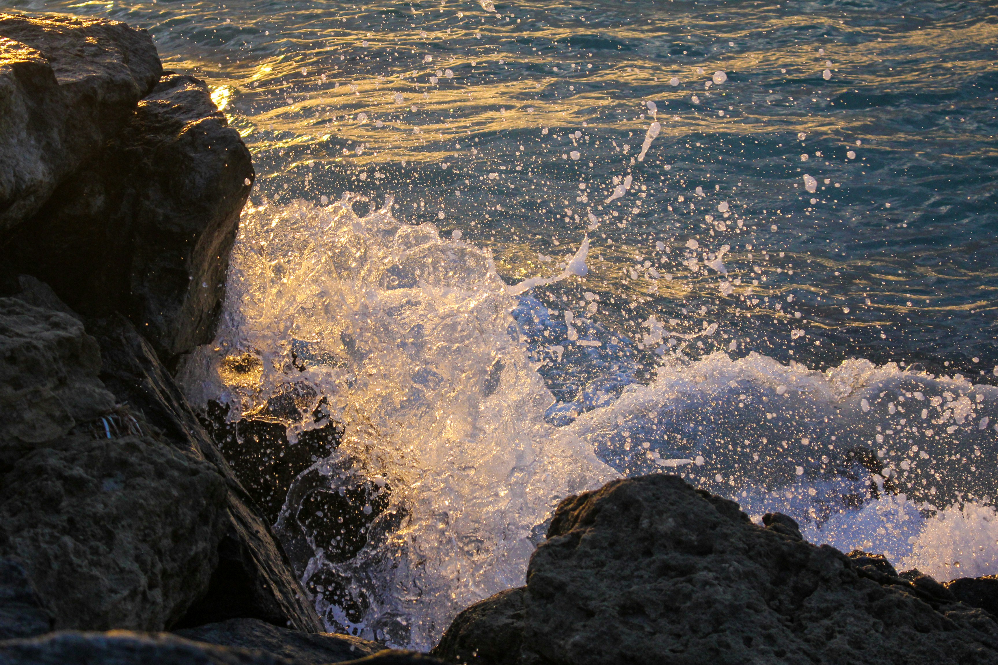 Photo by jjensen_photogrpahy