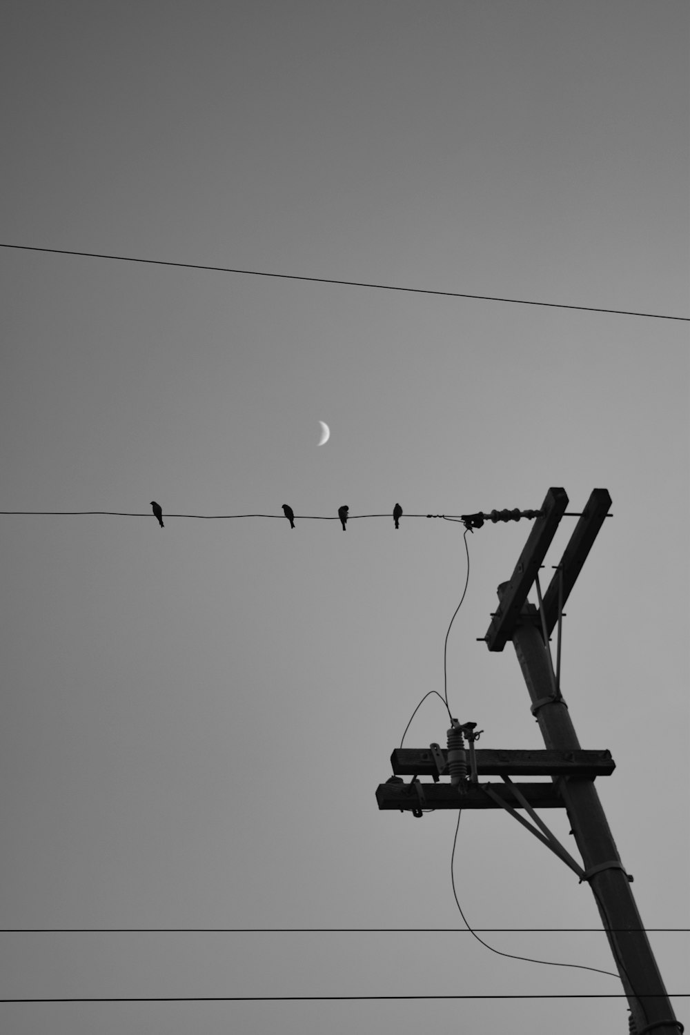 black and white cable cars under white sky during daytime