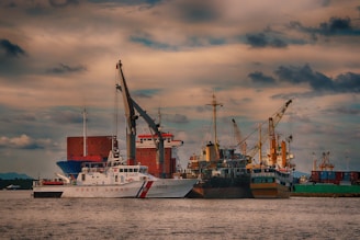 blue and white ship on dock during daytime