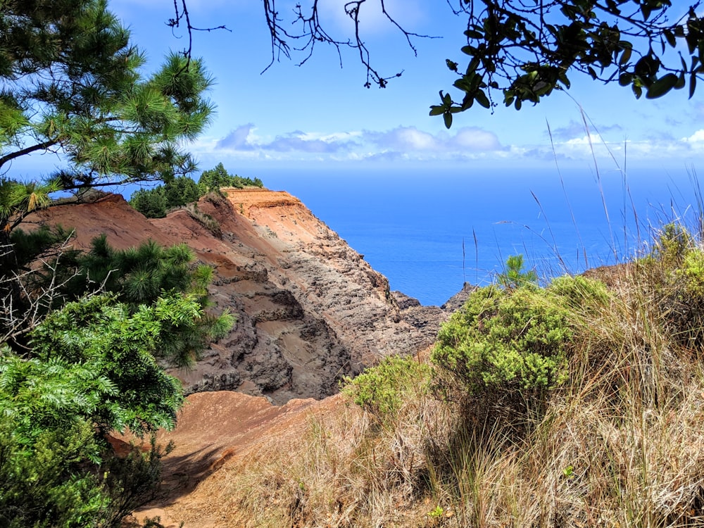 brown rock formation near green trees and body of water during daytime