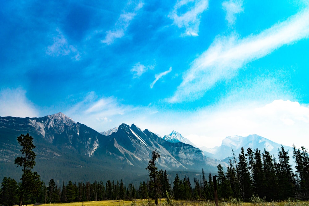 green trees near snow covered mountain under blue sky during daytime