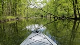A peaceful river landscape surrounded by lush green trees with a kayak in the foreground suggesting a calm kayaking experience.