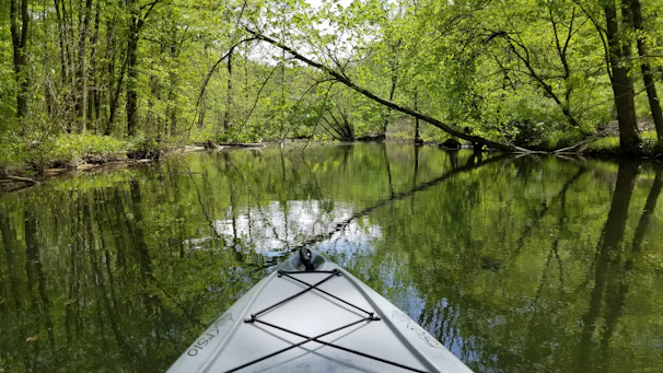An adventurous kayaking experience on a calm river surrounded by lush greenery and blue skies.