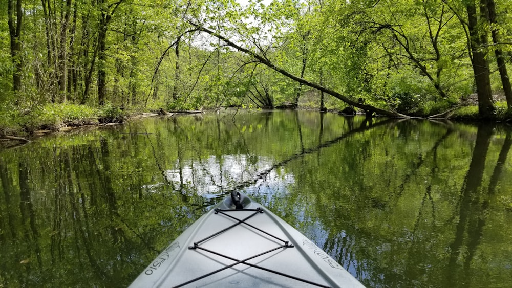 white kayak on lake near green trees during daytime