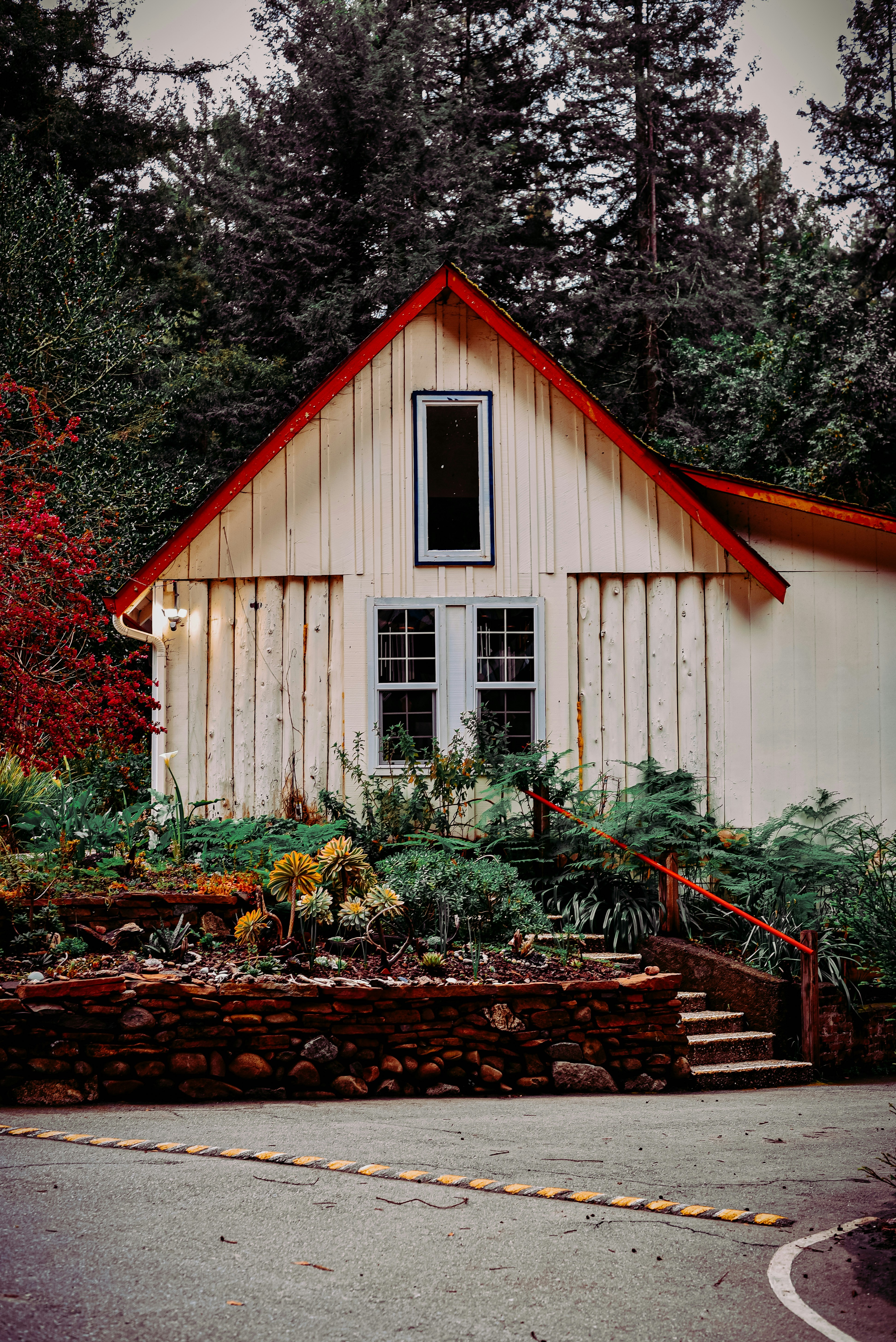 Photo by framesforyourheart