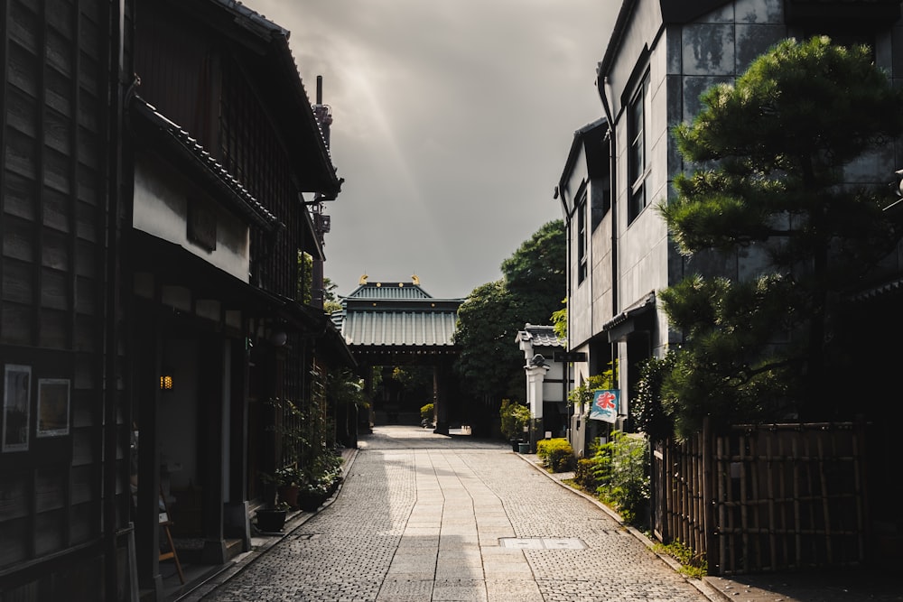 昼間の灰色の空の下、家々の間の灰色のコンクリート道路