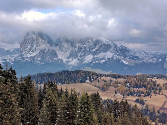 green pine trees near mountain under white clouds during daytime in Langkofelgruppe Italy