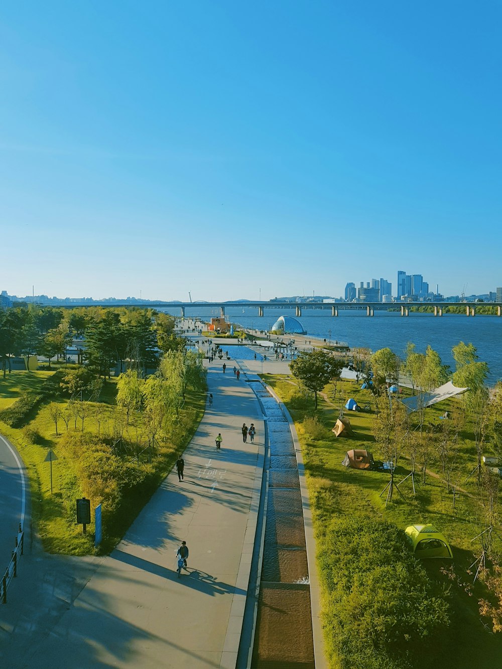 aerial view of city buildings and green trees during daytime