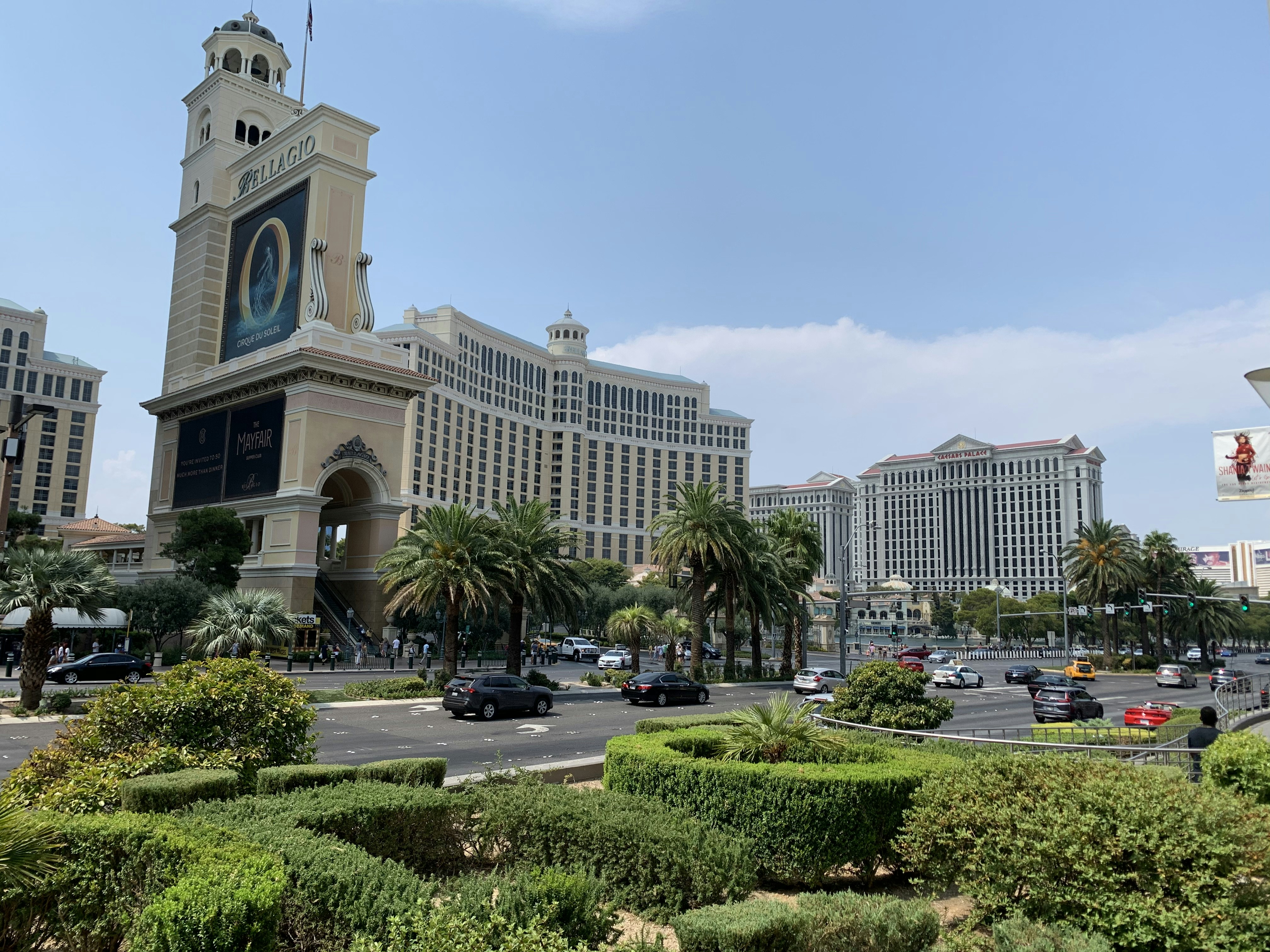 낮에는 푸른 나무 근처의 흰색 콘크리트 건물