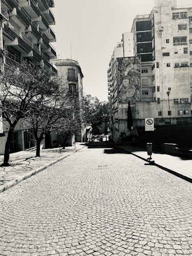 A quiet, cobblestone street lined with tall, residential buildings. Sparse trees cast shadows on the sidewalk. The central building features a large mural on its side. The black and white color scheme adds a historical or timeless feel.