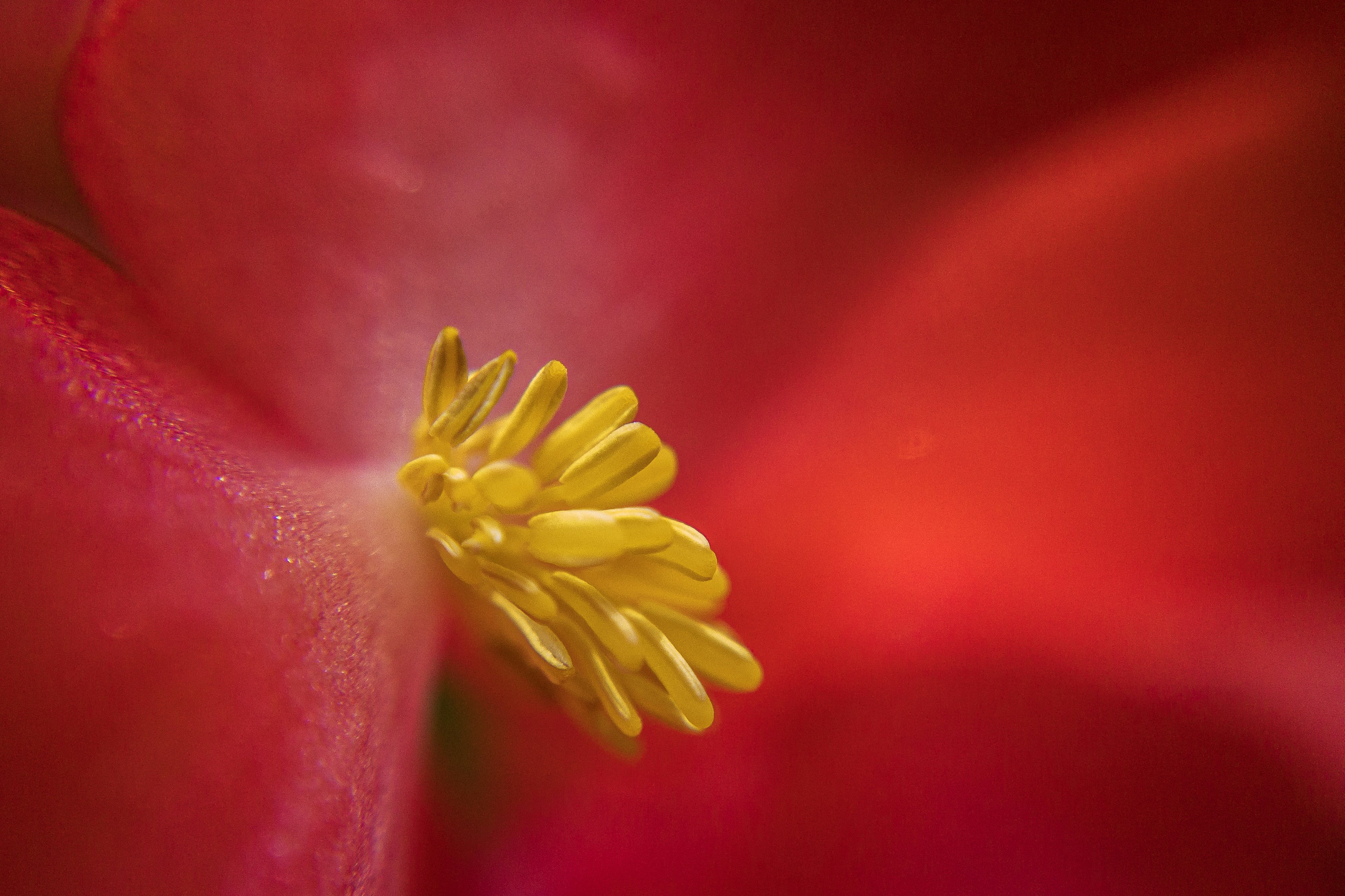 Photo by salberto2000