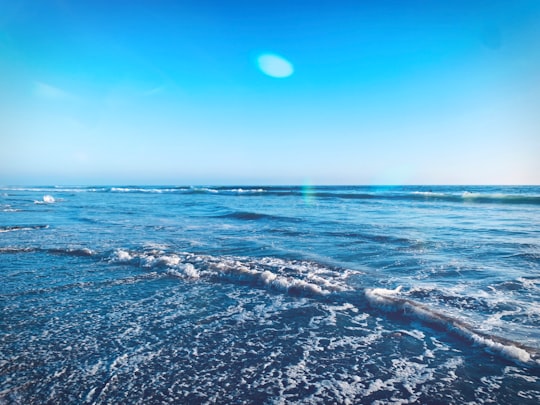 ocean waves crashing on shore during daytime in Encinitas United States