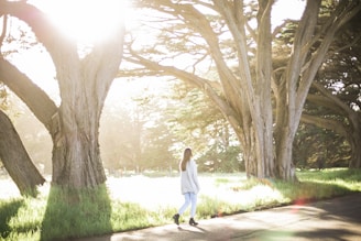woman in white long sleeve shirt and jeans walking on pathway between trees during daytime
