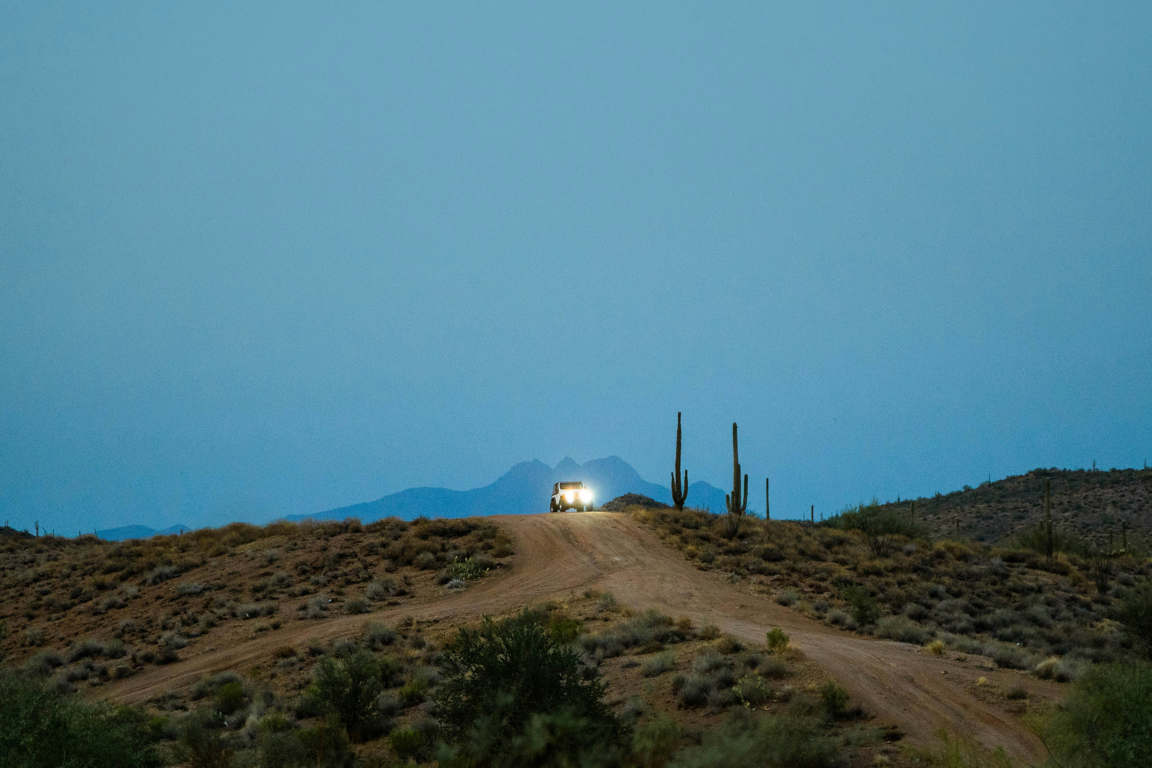 woman wearing yellow long-sleeved dress under white clouds and blue sky during daytime