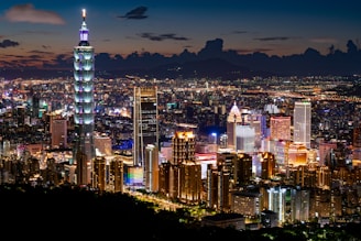 city skyline during night time