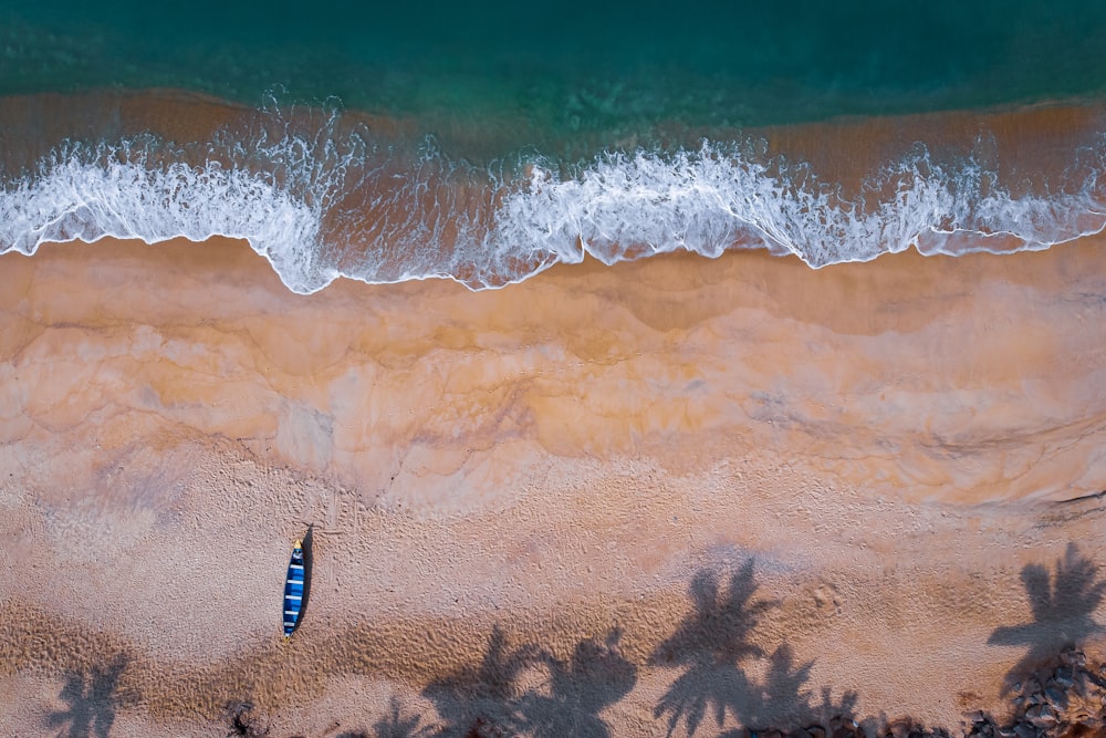 person in blue and white striped shorts standing on seashore during daytime