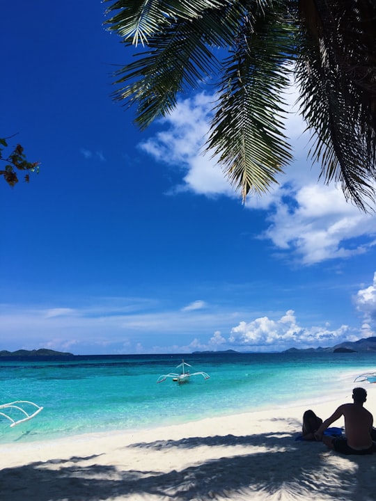 green palm tree near body of water during daytime in Malcapuya Island Philippines