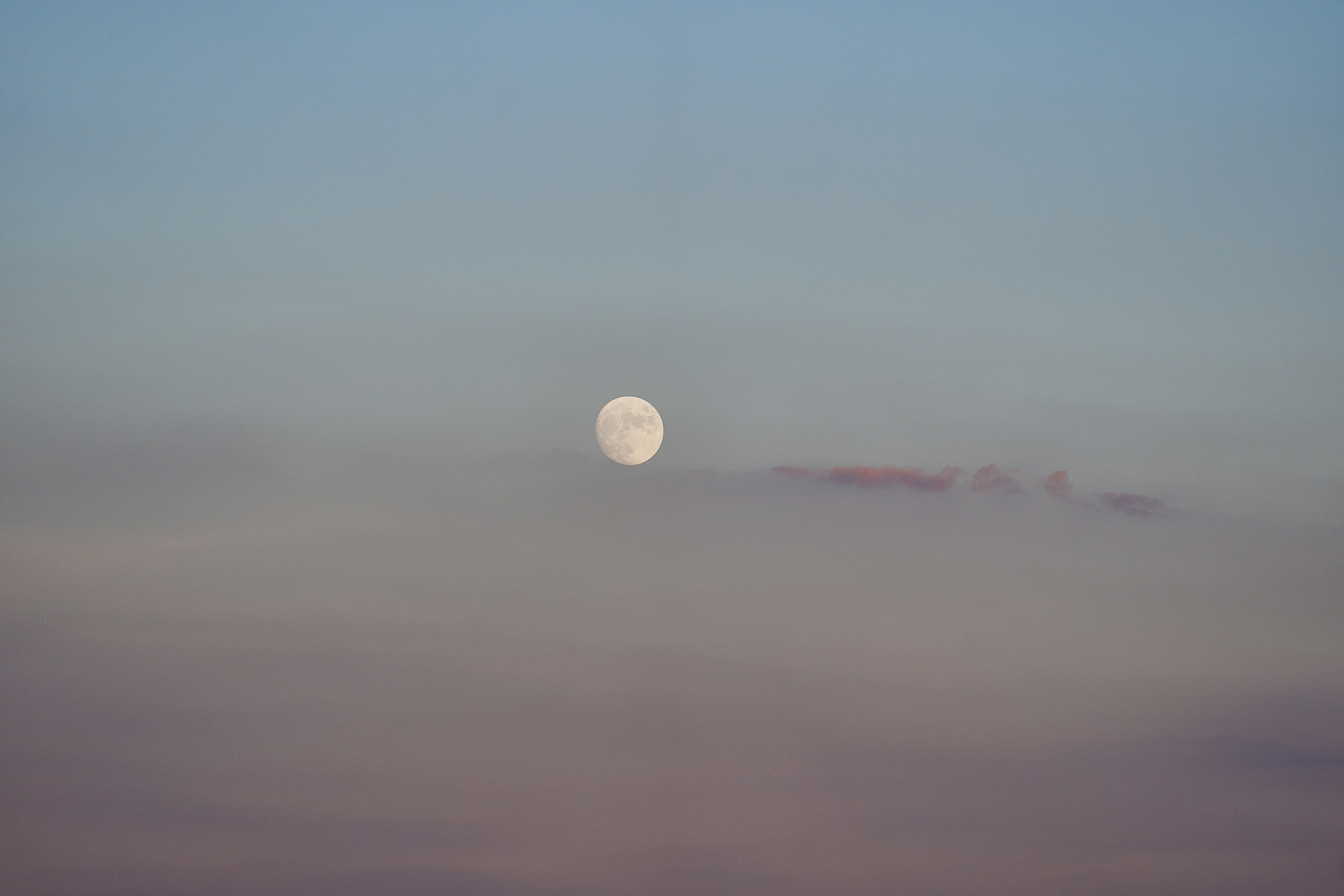 Photo by suicide_chewbacca