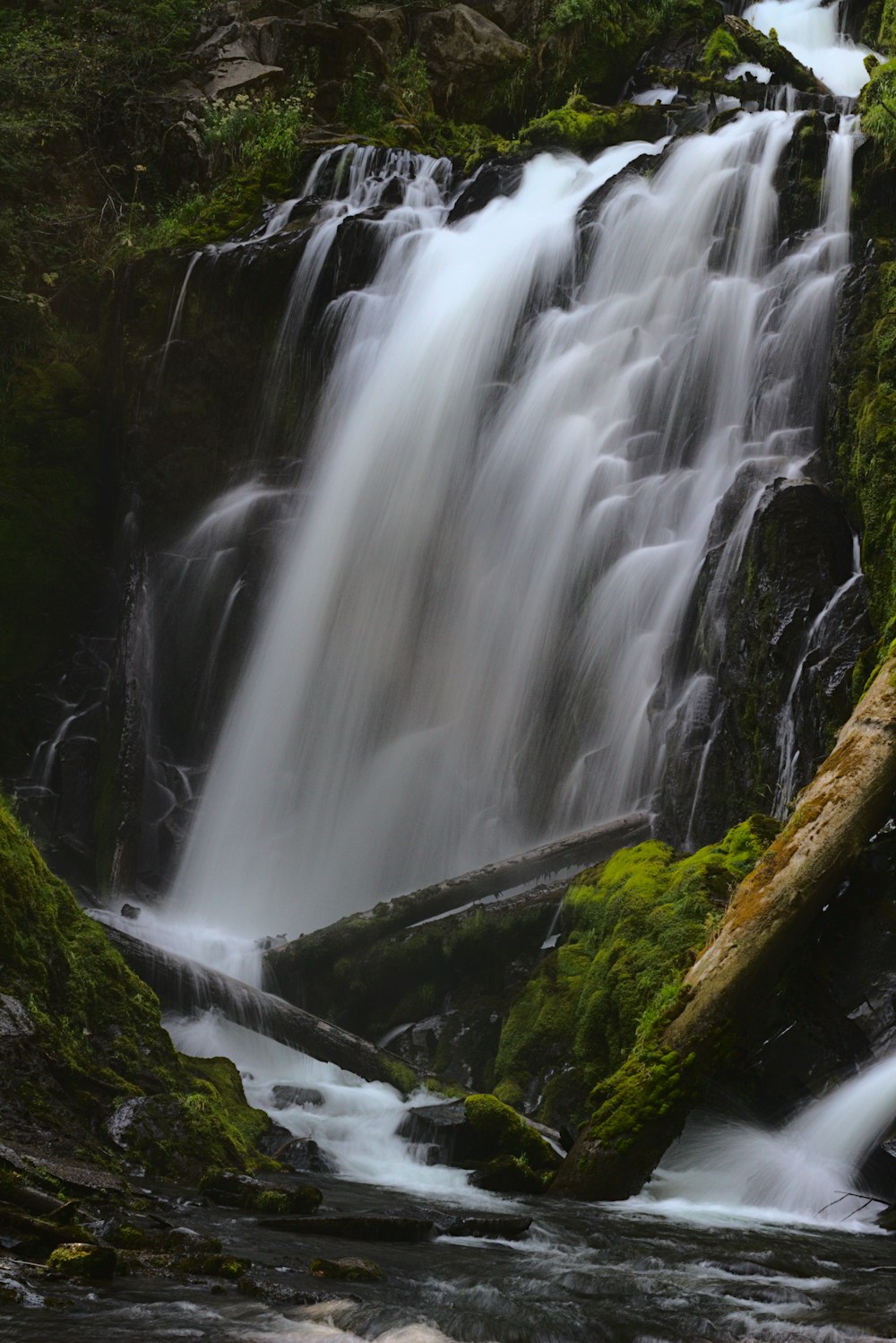 waterfalls in forest during daytime