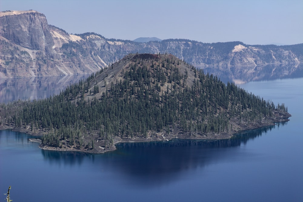 green trees on mountain near lake during daytime