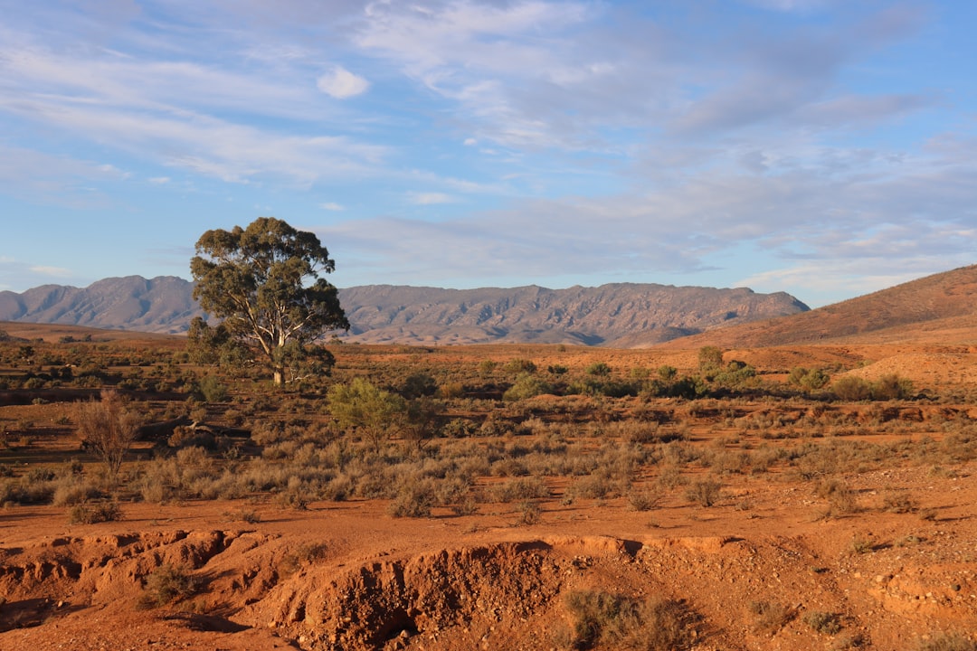 Ecoregion photo spot Mount Little Station Australia