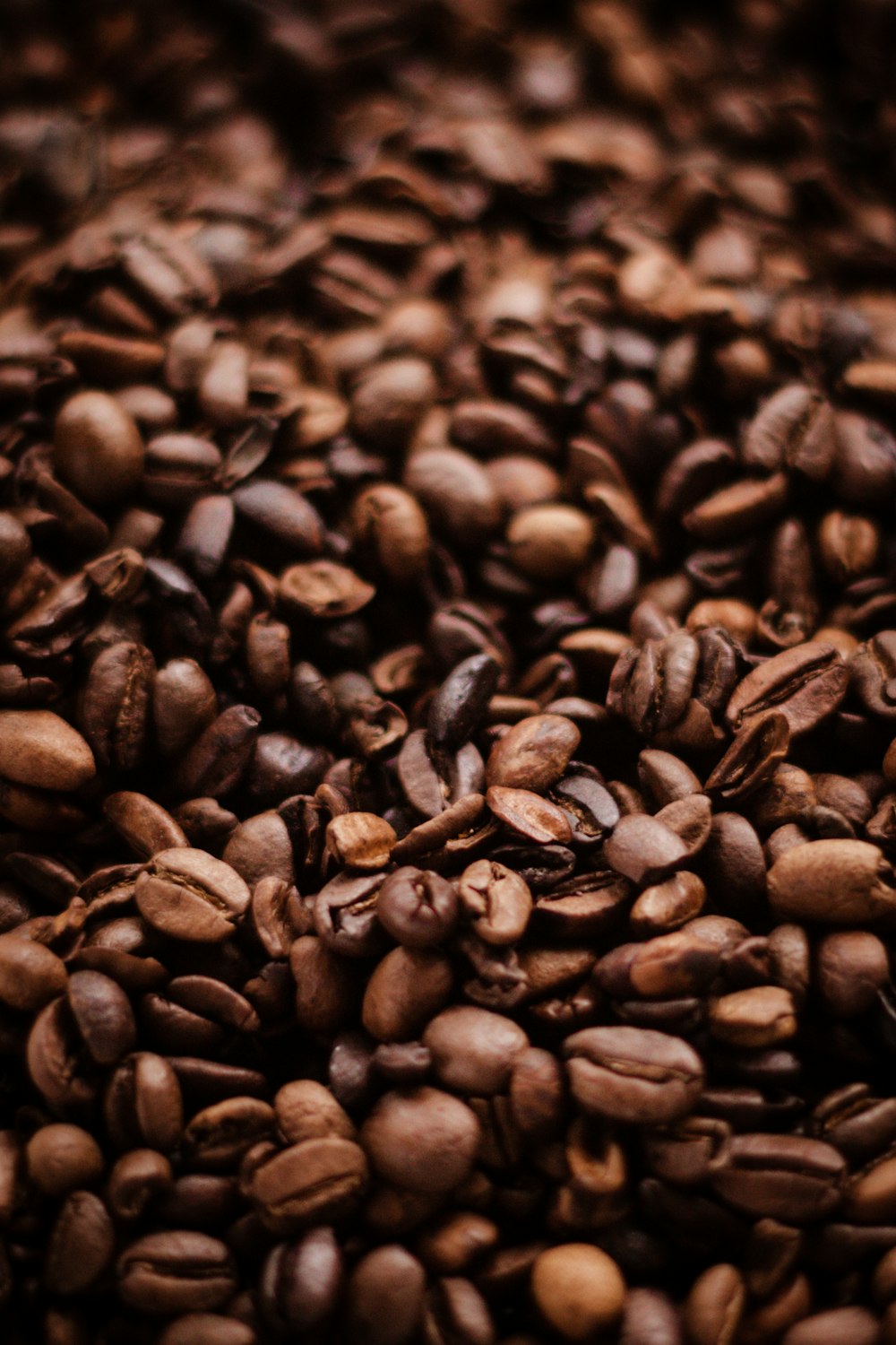 brown coffee beans in close up photography