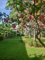 A vibrant garden scene with blooming flowers, a rustic wooden bench, and sunlight filtering through leafy trees.